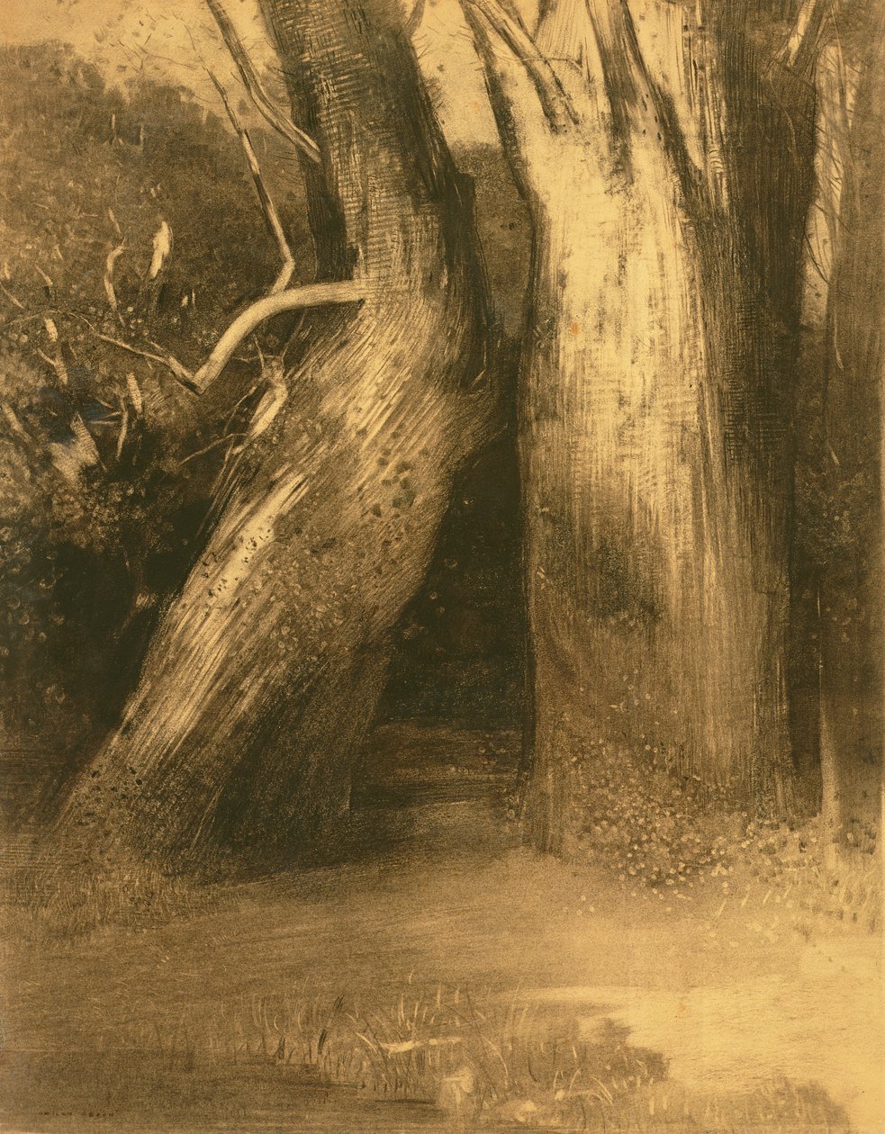 Duas árvores, c.1875 (carvão sobre papel) de Odilon Redon