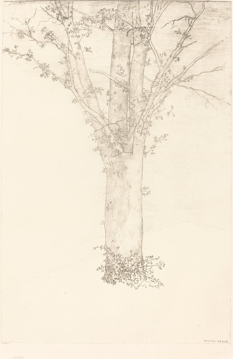 Árvore de Odilon Redon