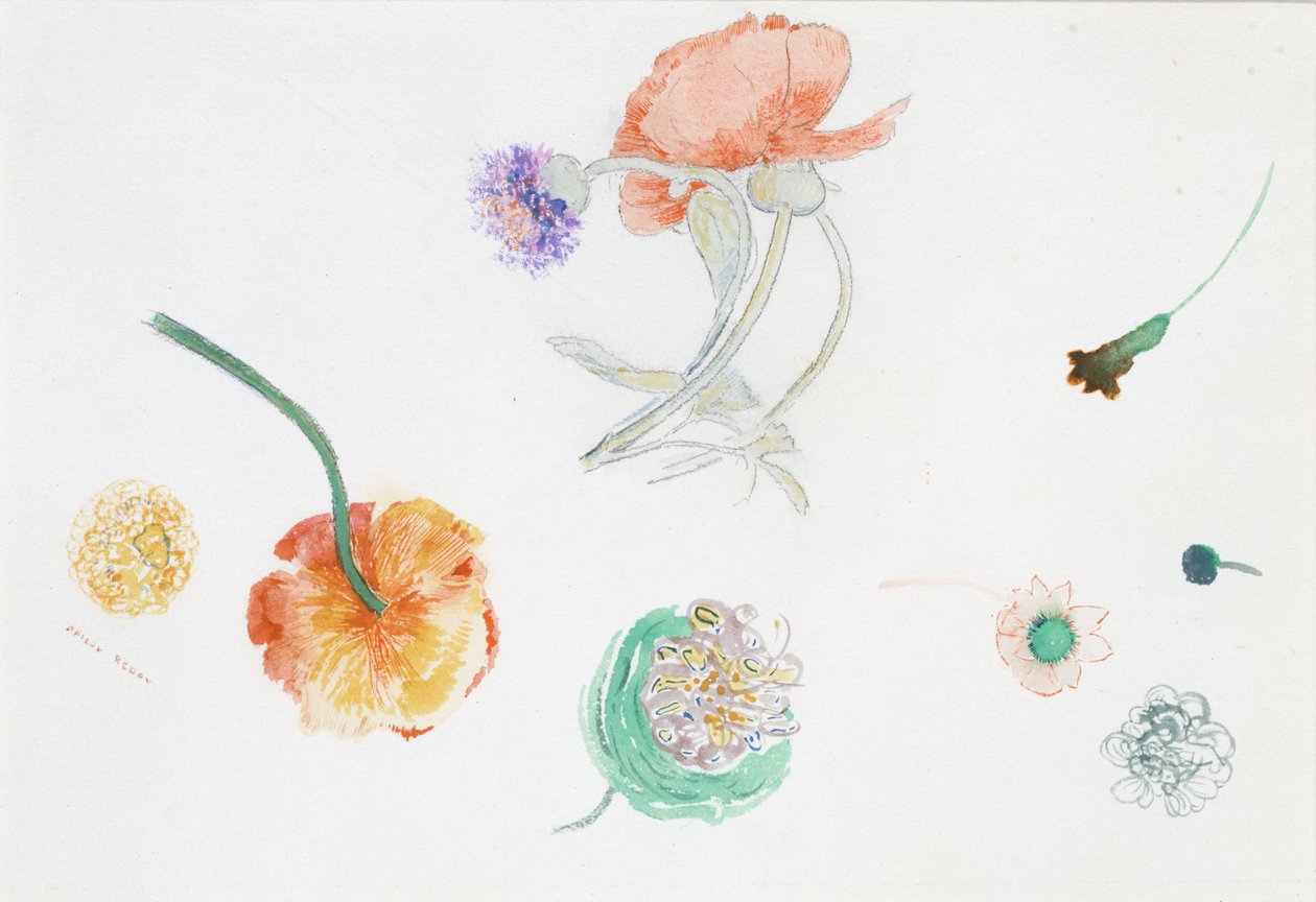 Esboço de flores de Odilon Redon
