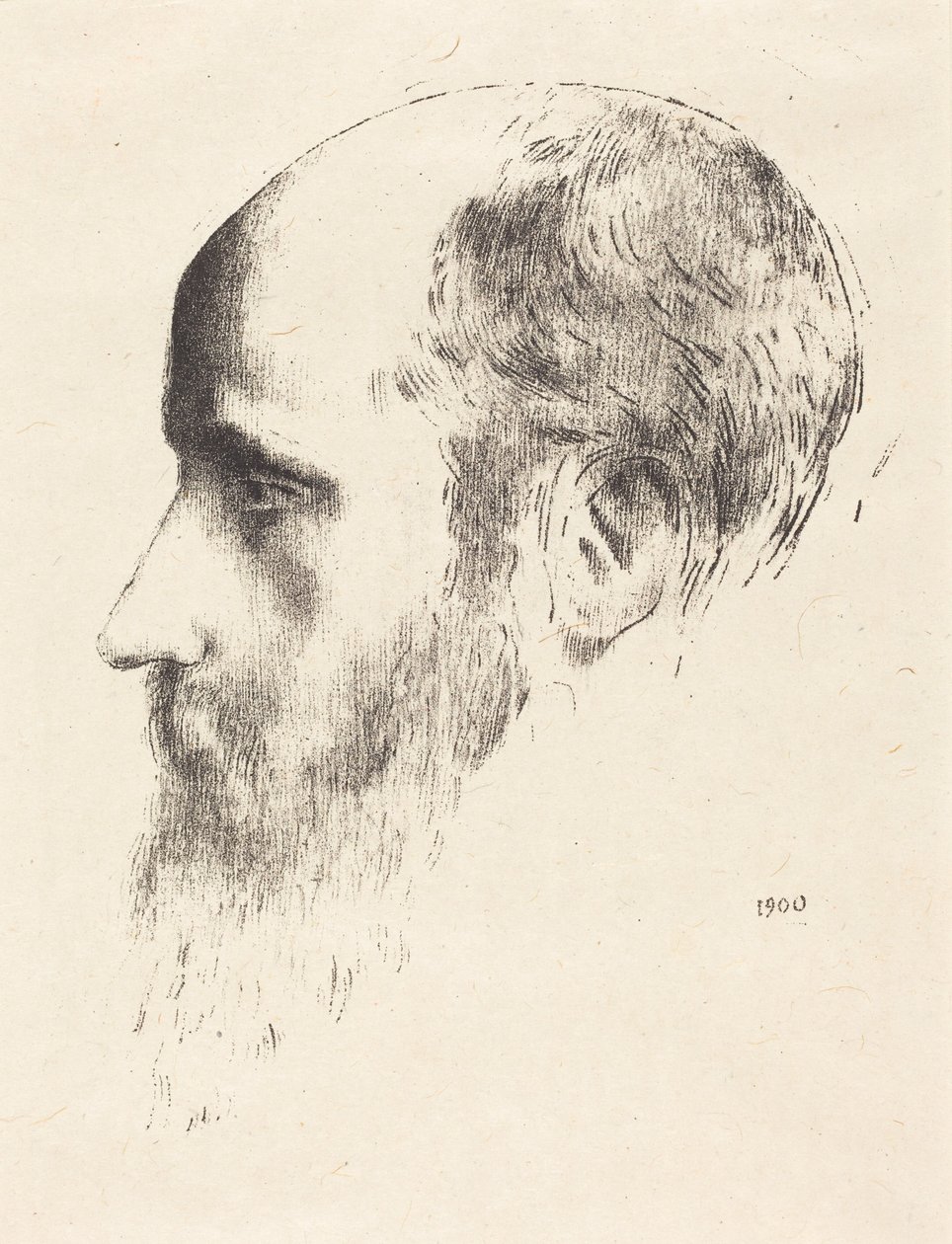 Edouard Vuillard de Odilon Redon