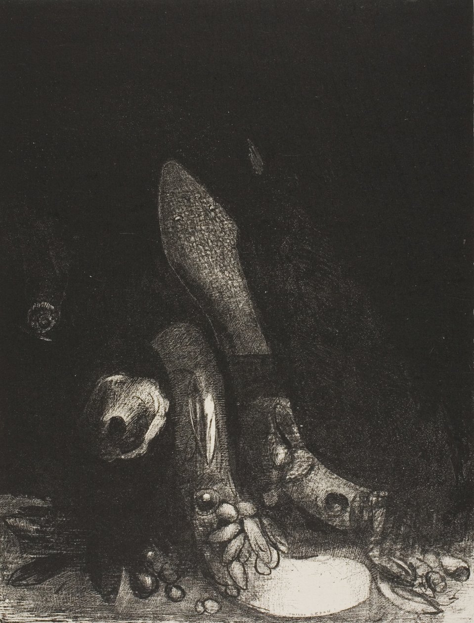 Flores caem e a cabeça de uma píton aparece, placa 5 de 24 de Odilon Redon