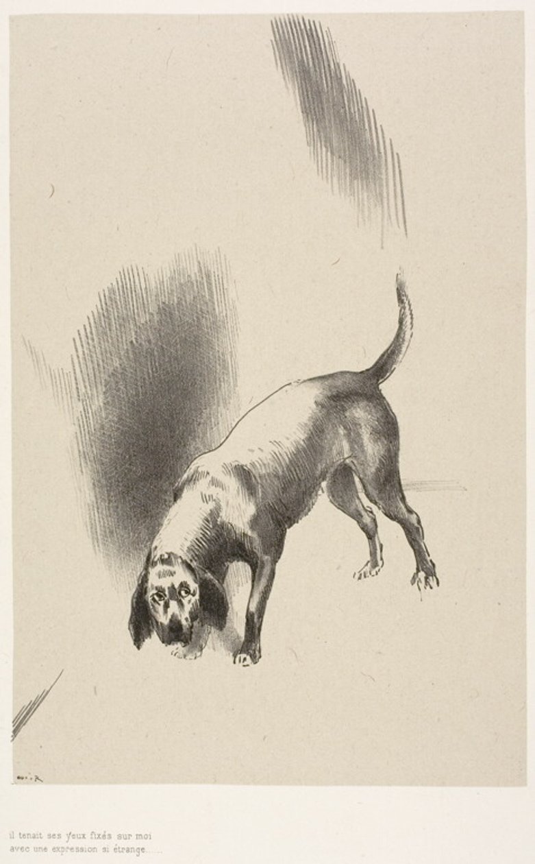 Ele [o cão do narrador] mantinha os olhos fixos em mim com um olhar tão estranho, placa 3 de 6 de Odilon Redon