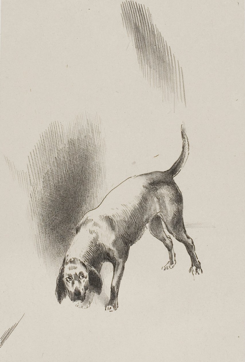 Ele [o cão do narrador] mantinha os olhos fixos em mim com um olhar tão estranho, placa 3 de 6 de Odilon Redon