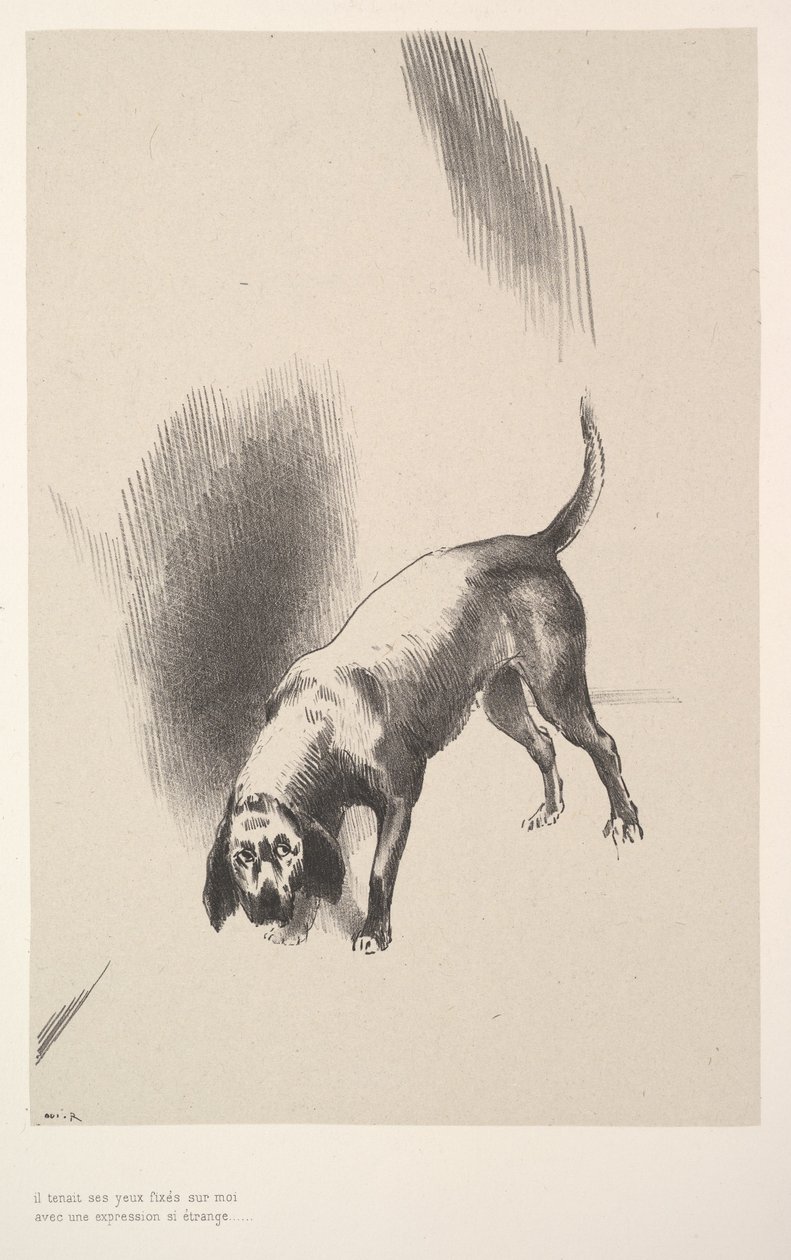 Ele fixou os olhos em mim com uma expressão tão estranha, 1896. de Odilon Redon