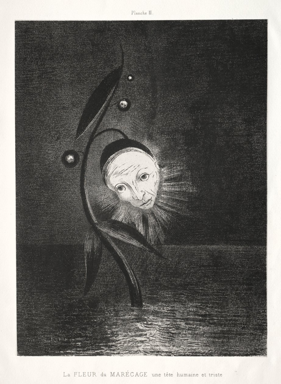 Homenagem a Goya: A Flor do Pântano, uma Cabeça Humana Triste, 1885. de Odilon Redon