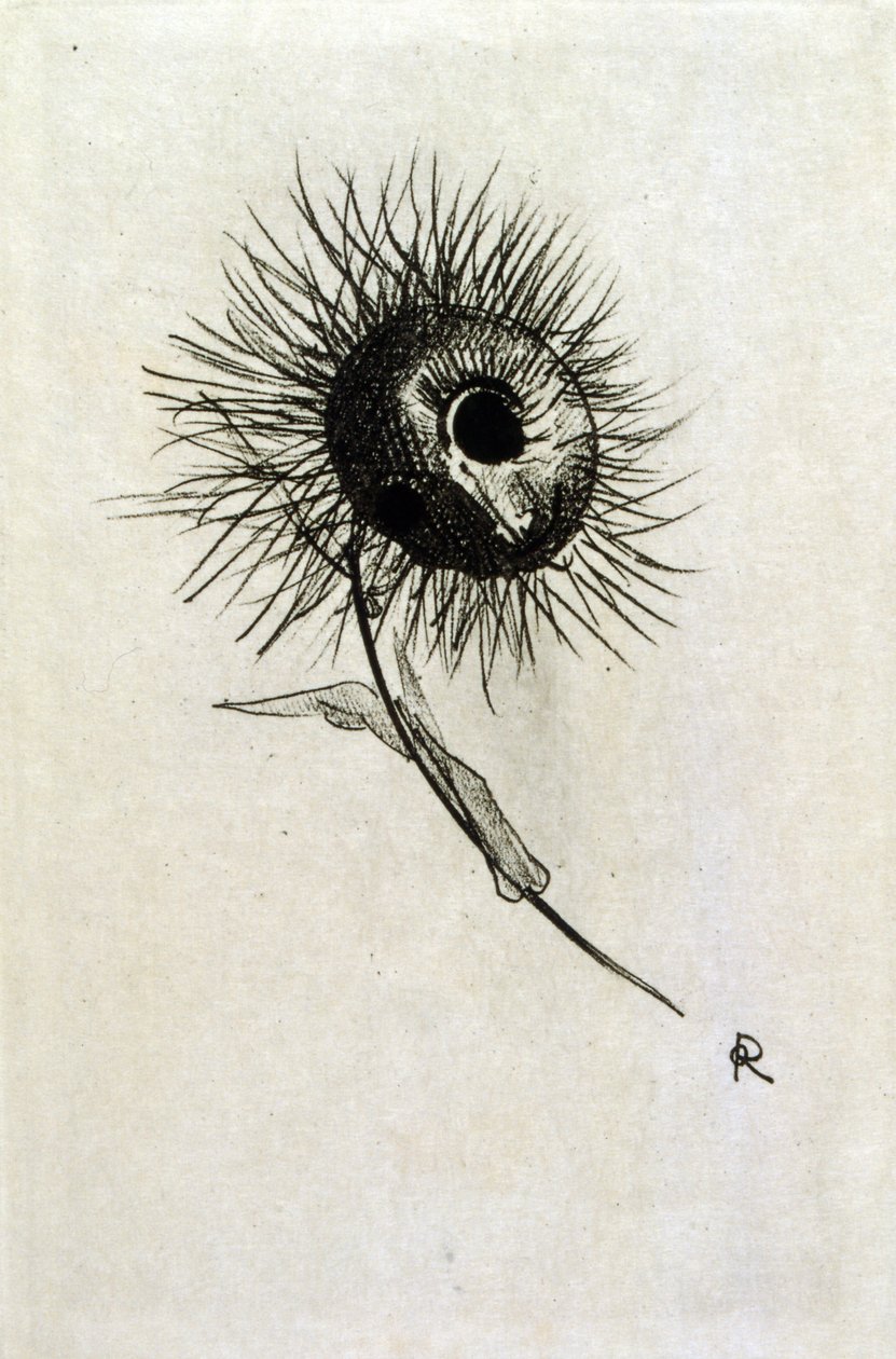 Ilustração para 