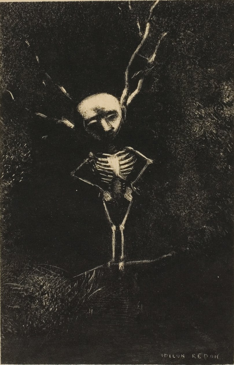 No labirinto de galhos, a figura pálida apareceu, placa 2 de 7 de Odilon Redon