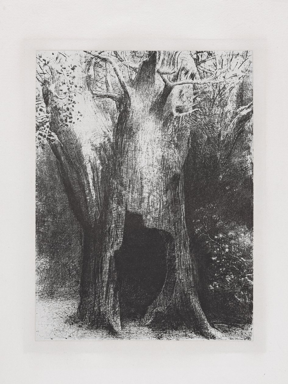 Afundei-me na solidão de Odilon Redon
