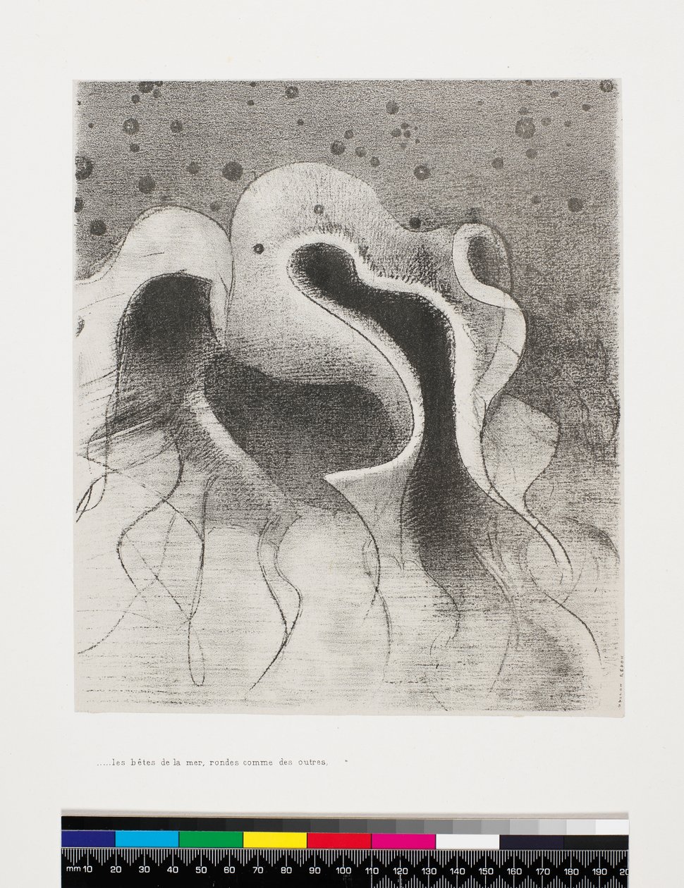 Animais marinhos redondos como peles, 1896 de Odilon Redon