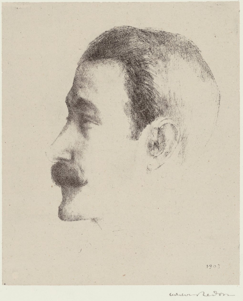 Ricardo Vinhas de Odilon Redon