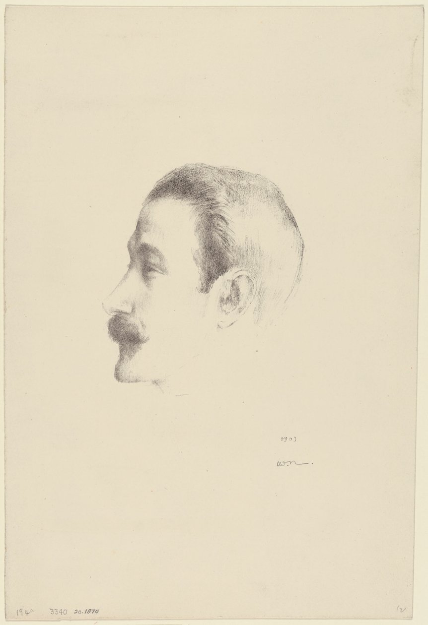 Ricardo Vinhas de Odilon Redon