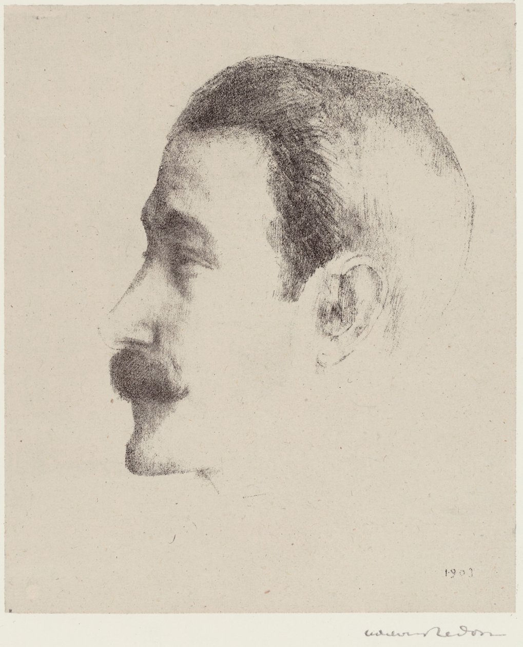 Ricardo Vinhas de Odilon Redon