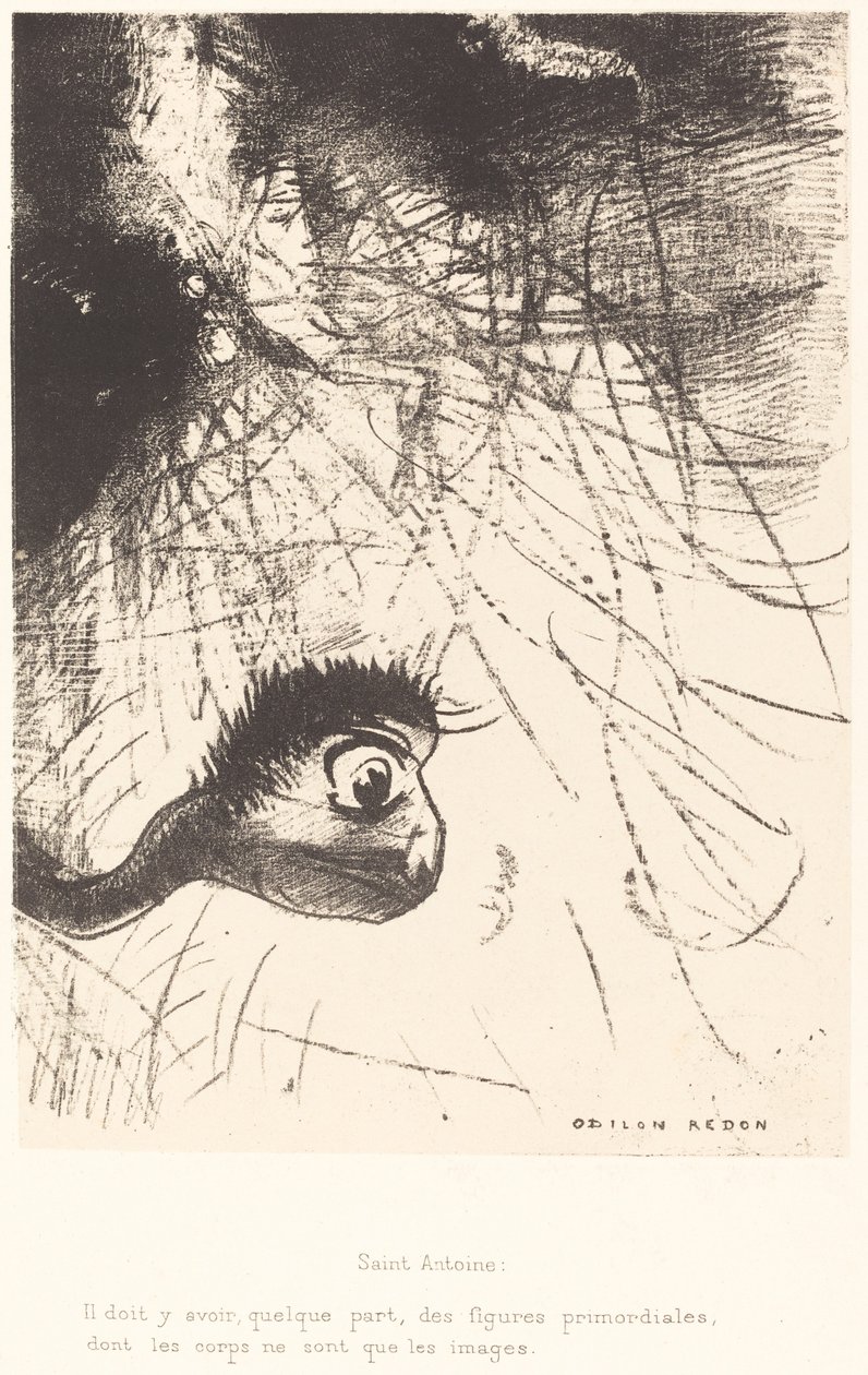 Santo Antônio: "Em algum lugar deve haver formas primordiais cujos corpos são apenas imagens" de Odilon Redon