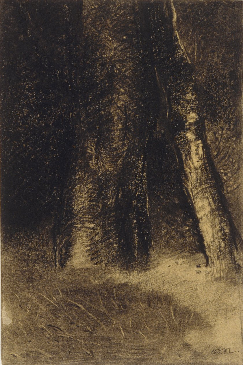 Esboço de árvores de Odilon Redon