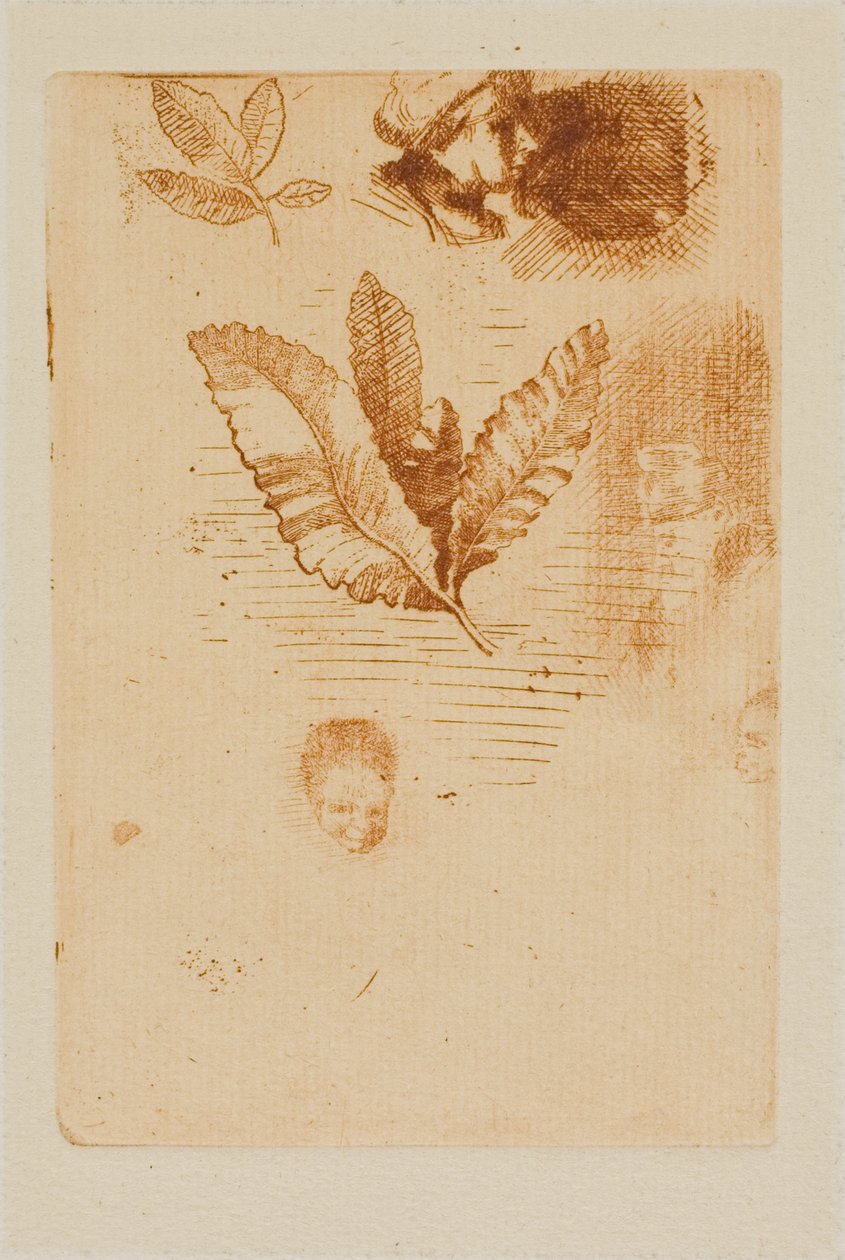 Esboços de Odilon Redon