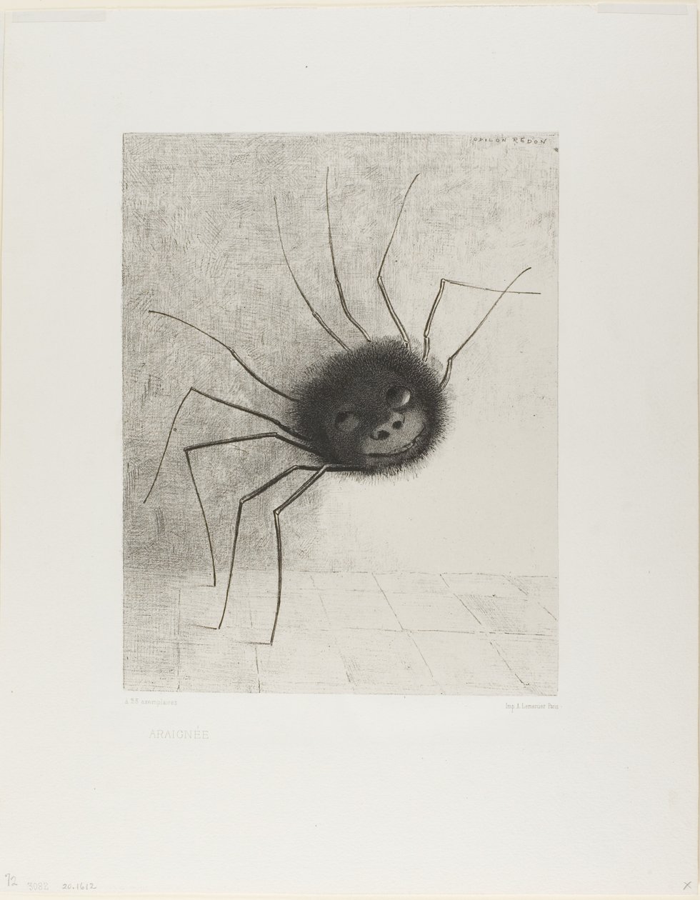 Aranha de Odilon Redon