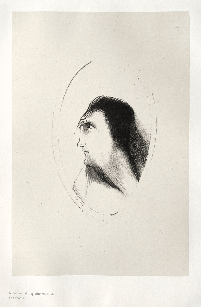 A casa assombrada: a largura e a planicidade do osso frontal, 1896. de Odilon Redon