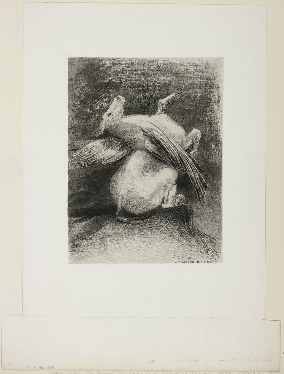 A asa impotente não levantou o animal para aquele espaço negro, placa 7 de 8 de "Les Origines" de Odilon Redon