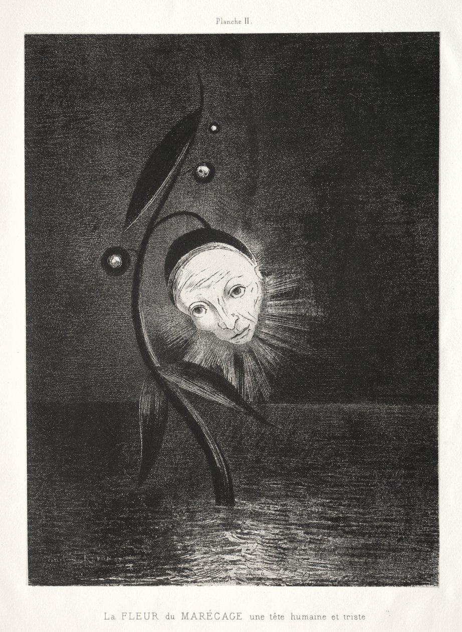 A flor do pântano, uma cabeça humana triste de Odilon Redon