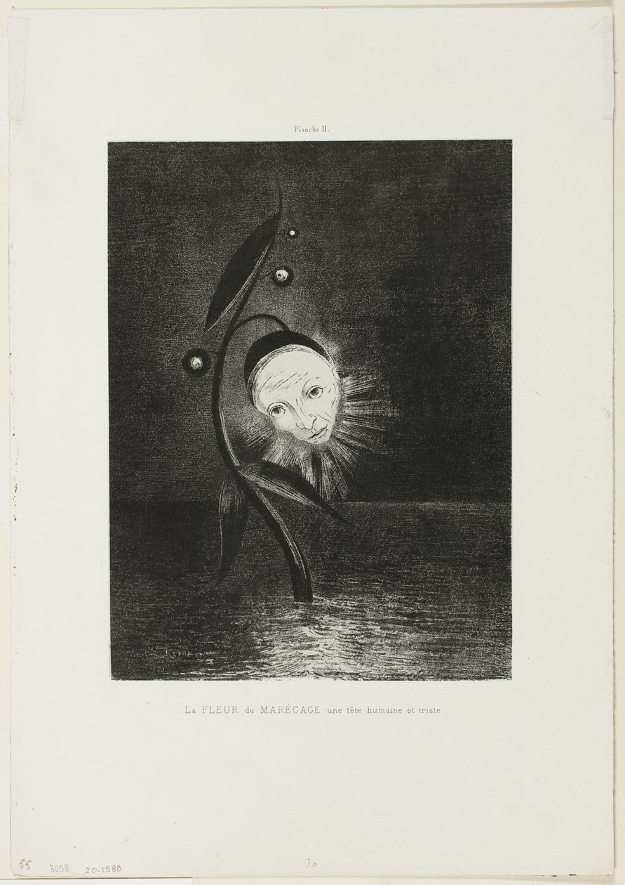 A flor do pântano, uma cabeça humana triste, placa 2 de 6 de Odilon Redon