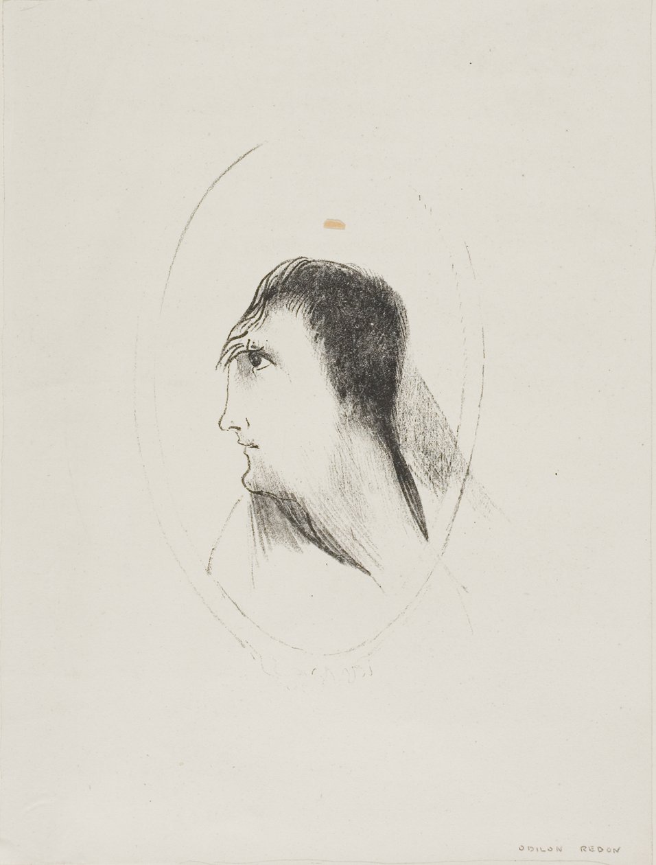 A Largura e Planicidade do [Osso] Frontal], placa 6 de 6 de Odilon Redon
