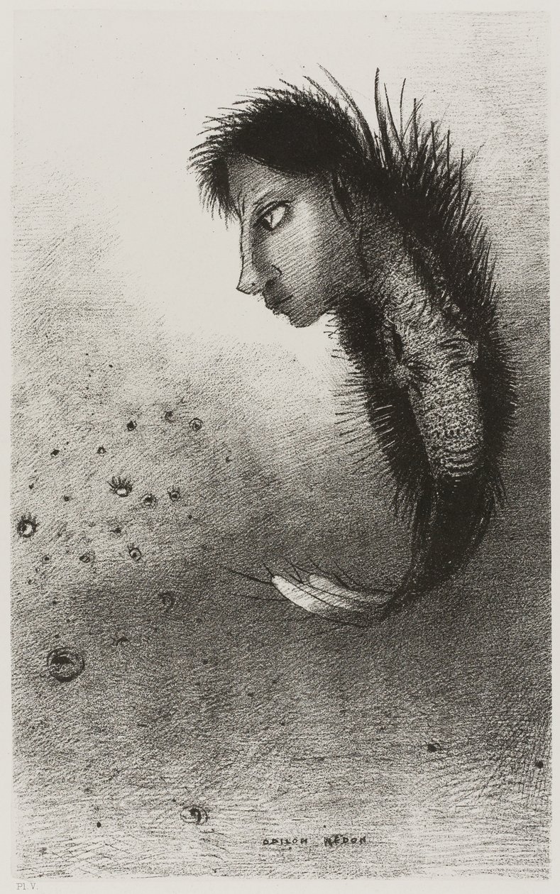 Então aparece um ser singular, tendo a cabeça de um homem no corpo de um peixe, placa 5 de 10 de Odilon Redon