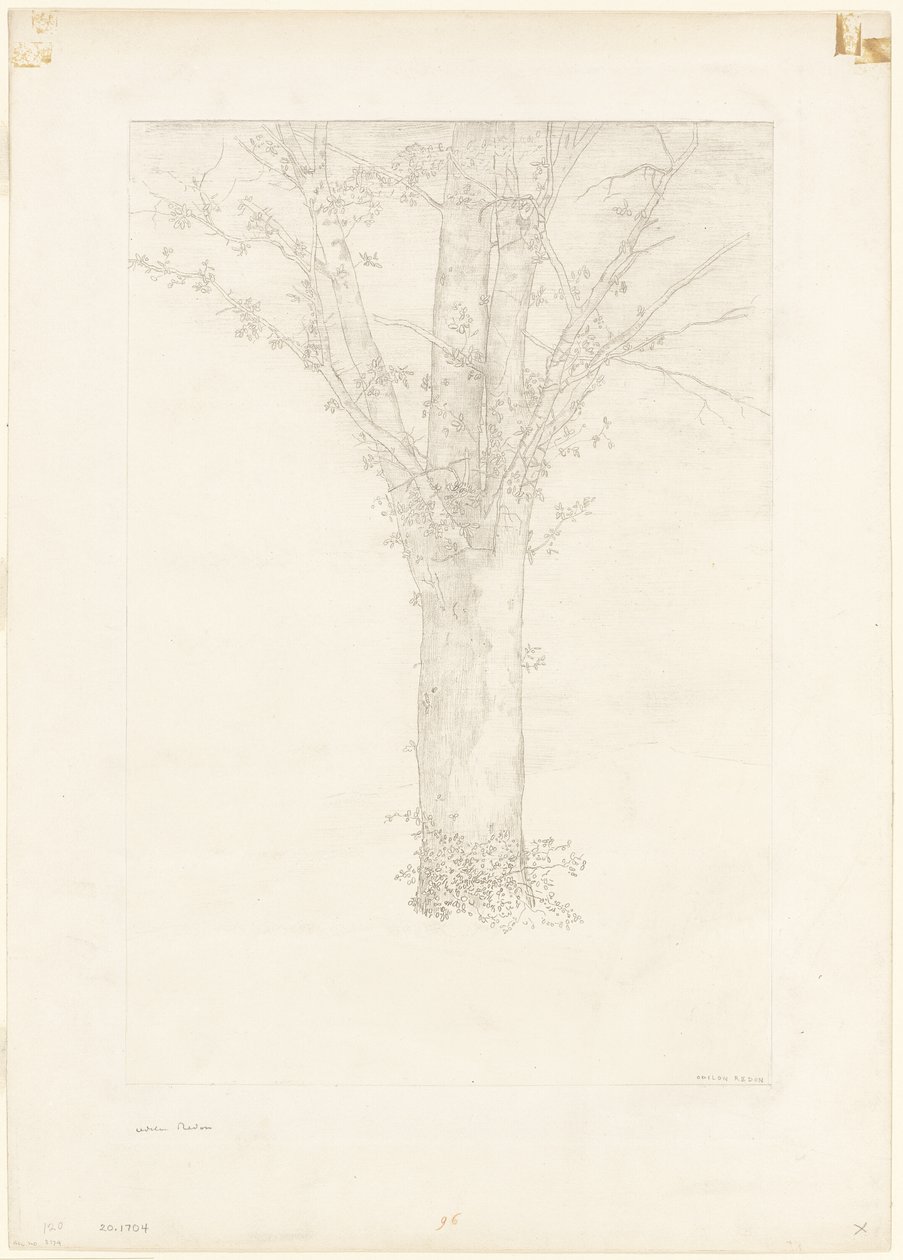 Árvore de Odilon Redon