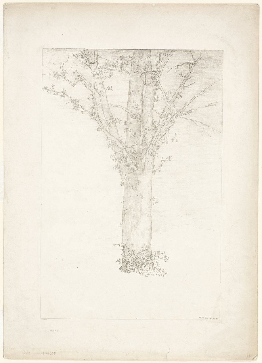 Árvore de Odilon Redon