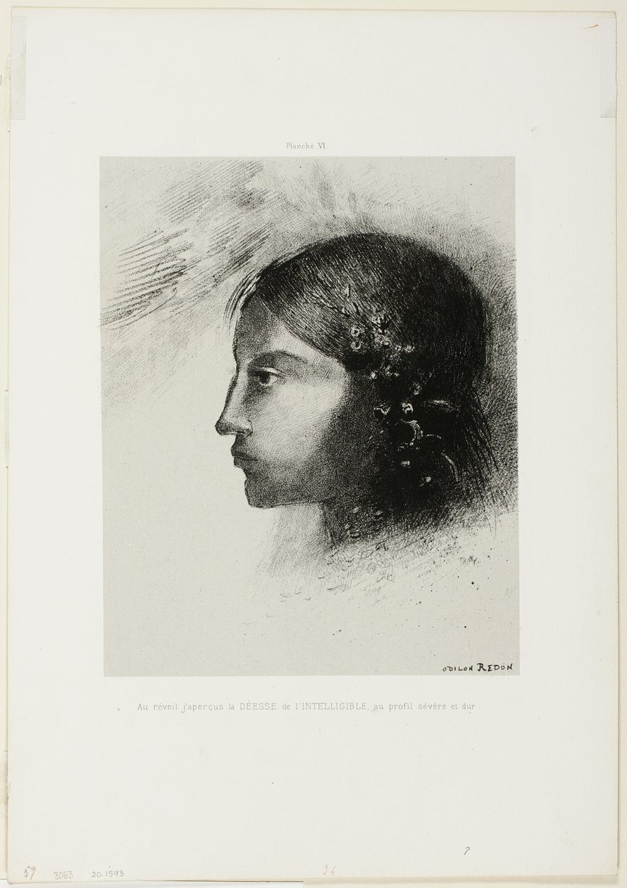 Ao despertar, vi a deusa do inteligível com seu perfil severo e duro, placa 6 de 6 de Odilon Redon