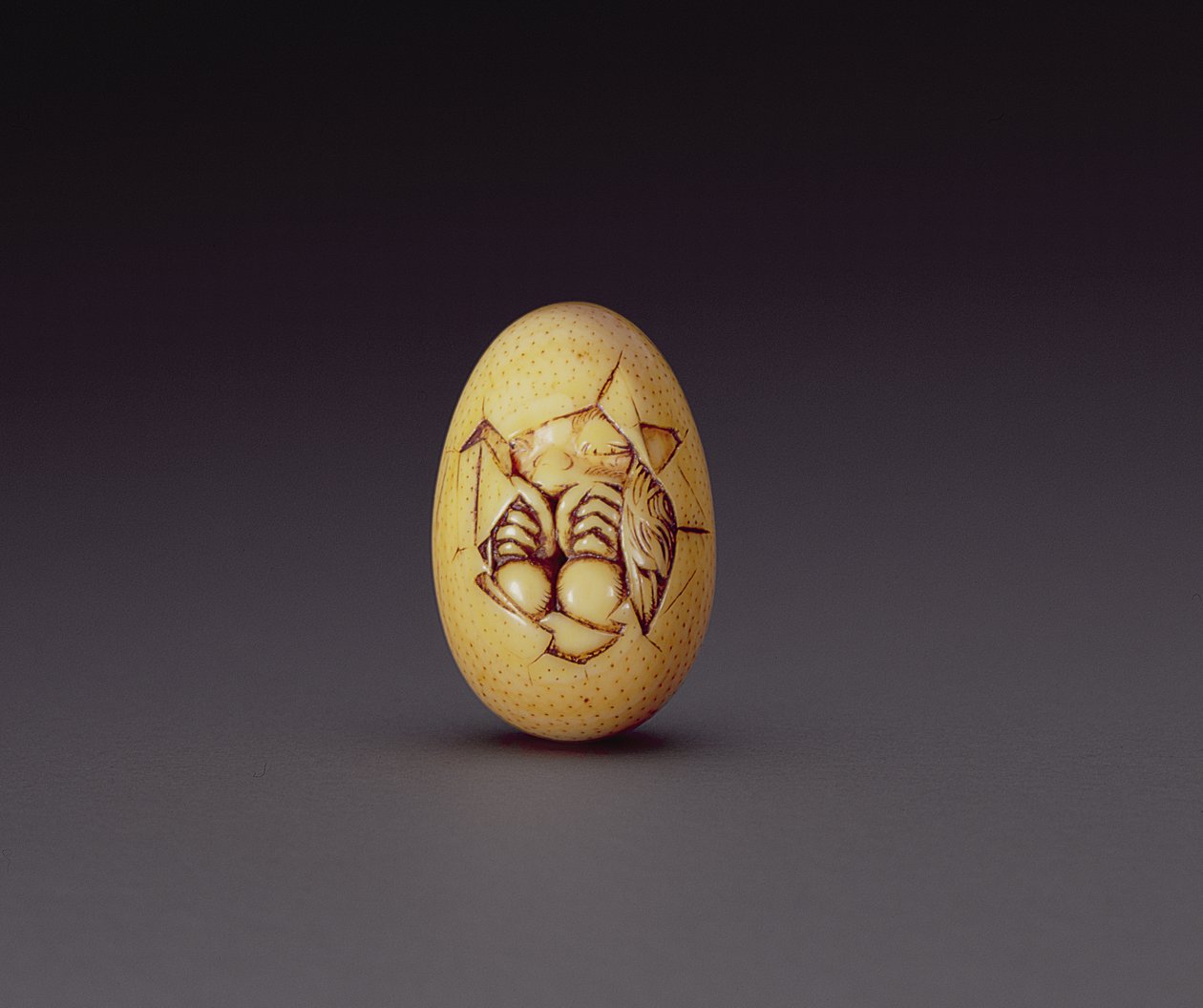 Netsuke retratando um filhote saindo de uma concha, c.1760-80 de Ogasawara Issai