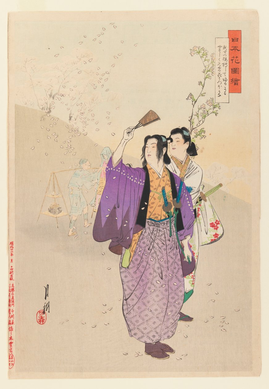 Dandies Admire Caindo Cerejeiras da série Pictures of Flower Gardens, 1893 (impressão em madeira xilogravura) de Ogata Gekko