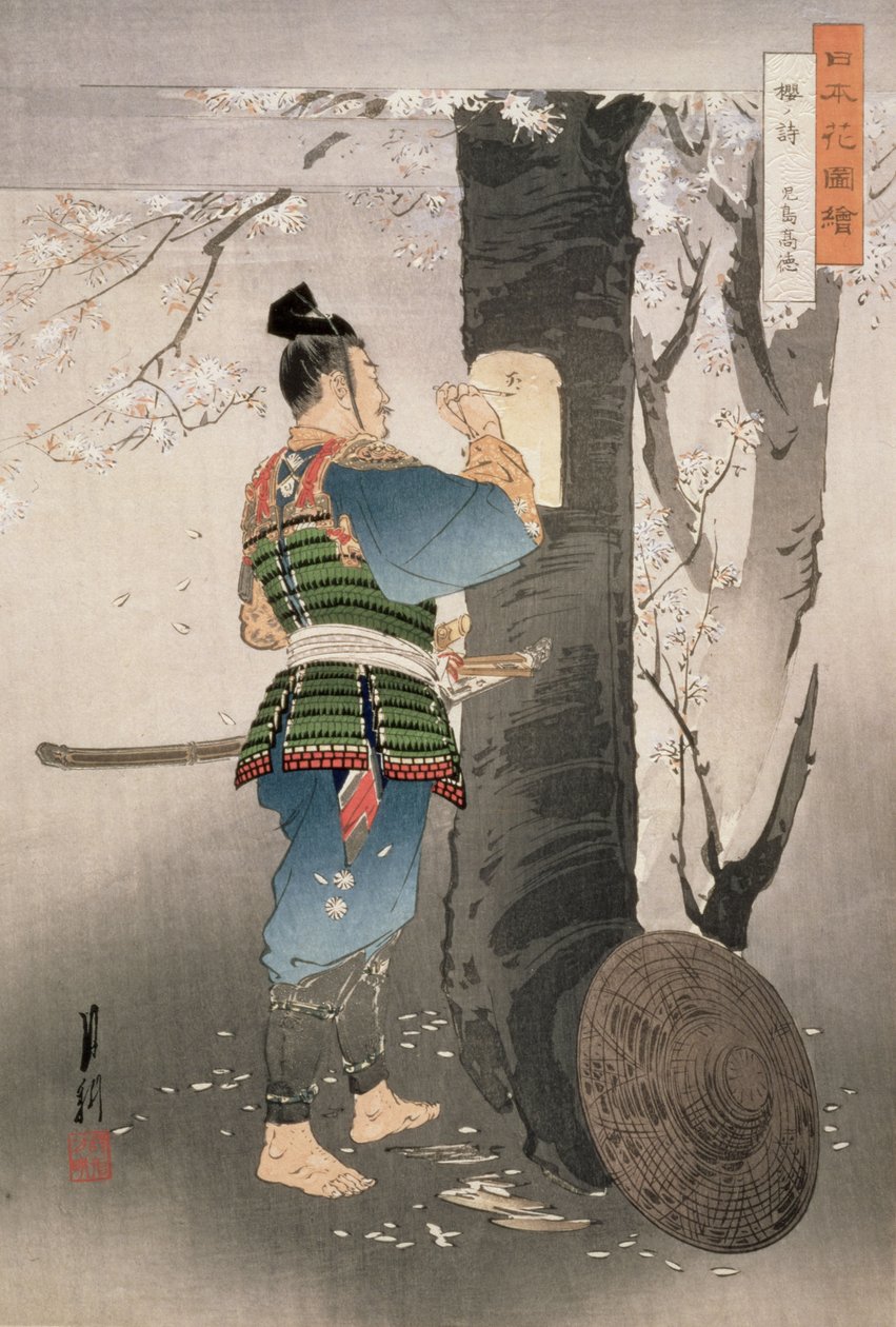 Kojima Takanori Escrevendo um poema em uma árvore de cereja, da série, &39;Pictures of Flowers of Japan&39;, 1895 (impressão em xilogravura) de Ogata Gekko