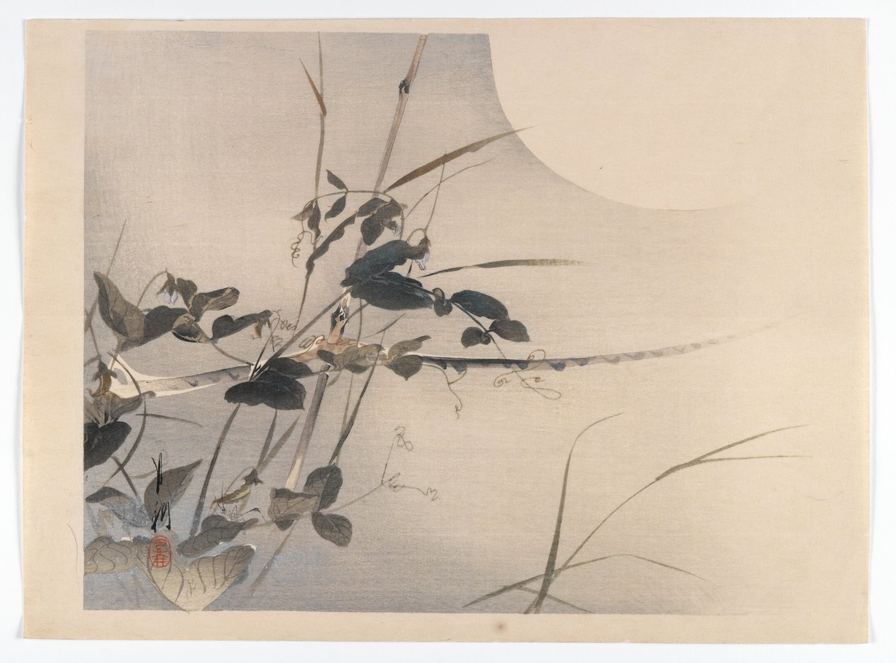 Lua e folhagem, página do álbum de um livro de pássaros e flores (Kacho), c.1890-1900 (impressão a cores em xilogravura com pigmento prateado) de Ogata Gekko