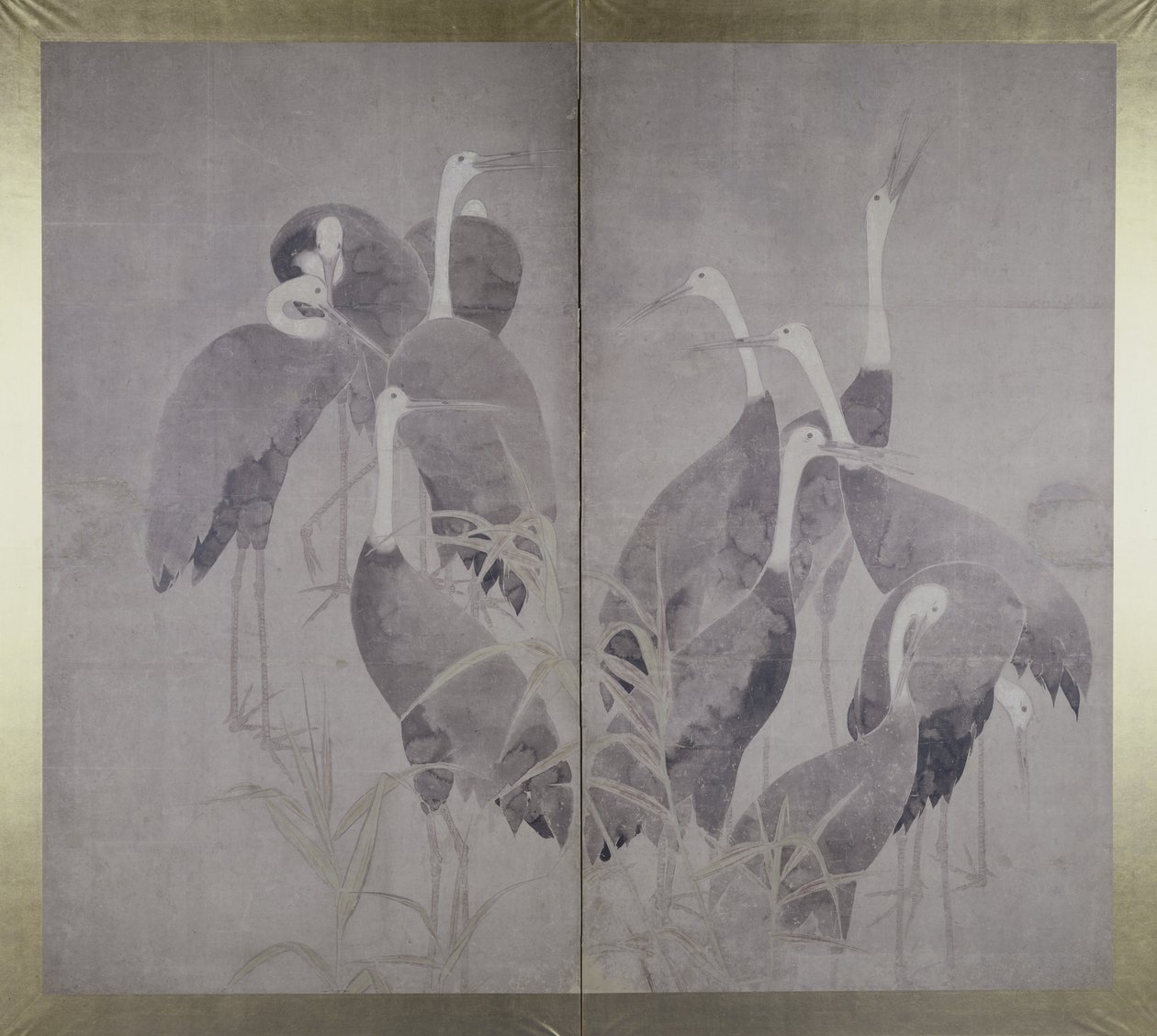 Onze, femininas, guindastes, ficar, em, secos, cana, cama, c.1700-50, (ink, e, colours on paper) de Ogata Korin