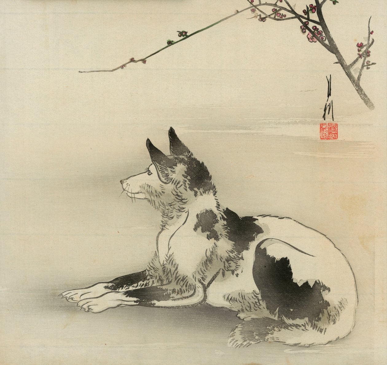 cão preto e branco de Ogata Gekko