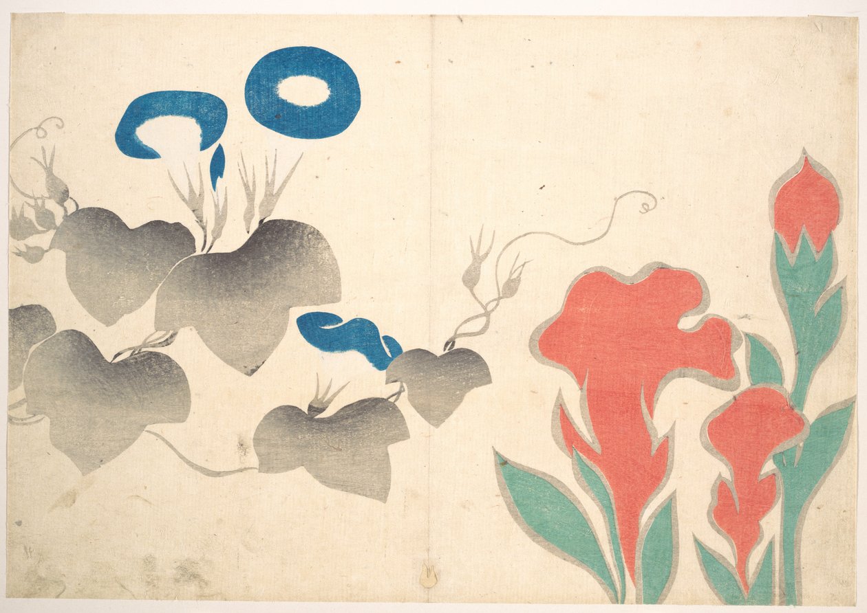 Desenho de glórias-da-manhã e outras flores de Ogata Korin