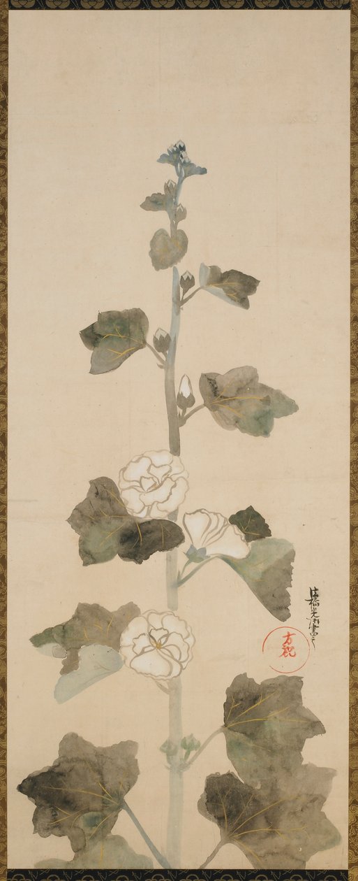 Malvas brancas, período Edo, final do século XVII e início do século XVIII. de Ogata Korin