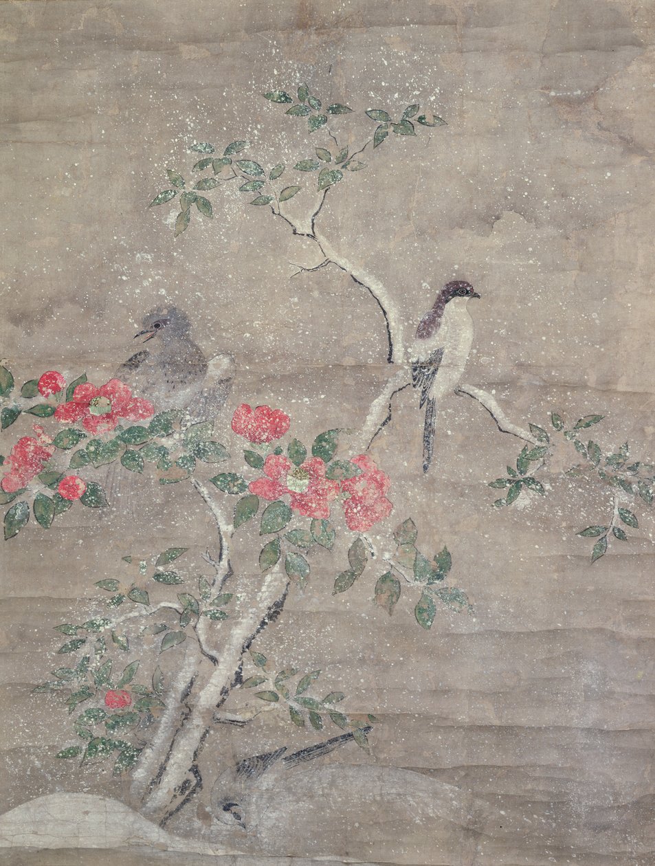 Aves e camelia na neve, c.1700 (tinta e cores no papel) de Ogawa Haritsu