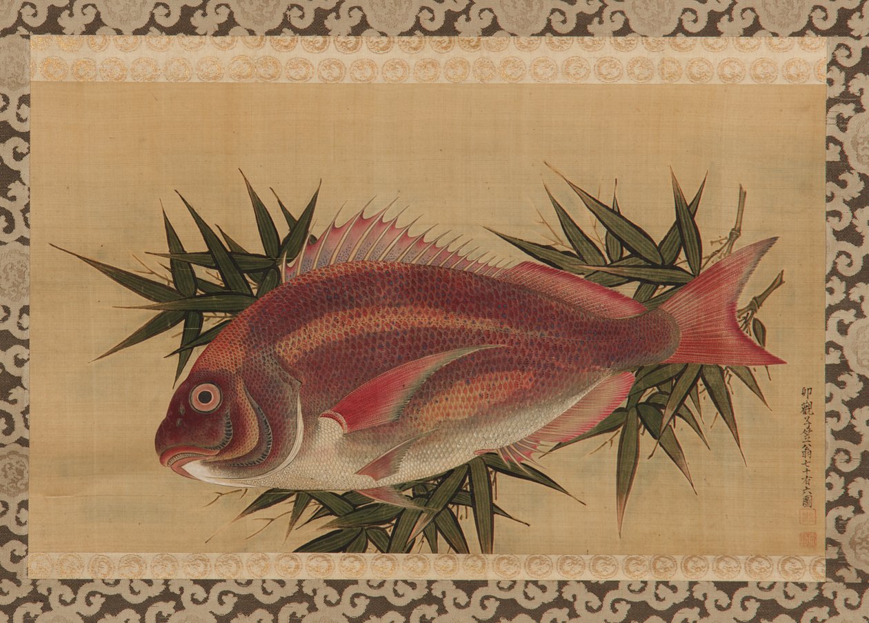 Sea Bream (Tai) em folhas de bambu, pergaminho, século XVIII (cor sobre seda) de Ogawa Ritsuo Ogawa Ritsuo