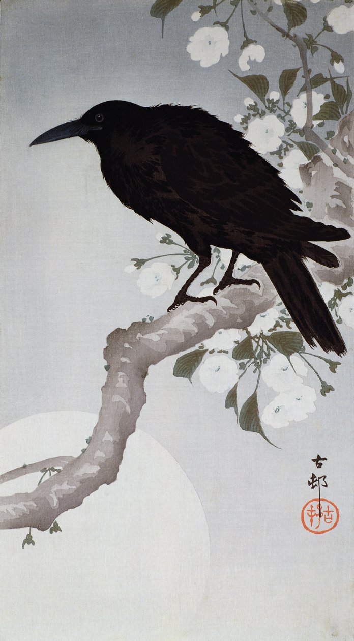 Um pássaro preto em um galho ao luar, (impressão de woodblock de cor) de Ohara Koson
