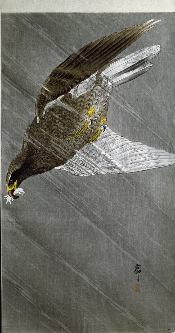 Um mergulho de águia para a presa, 1910 de Ohara Koson