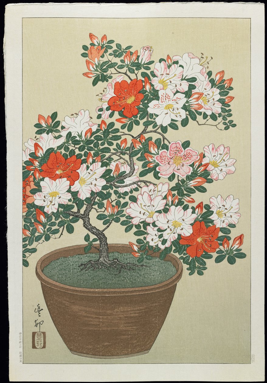 Azálea em panela, década de 1930 de Ohara Koson