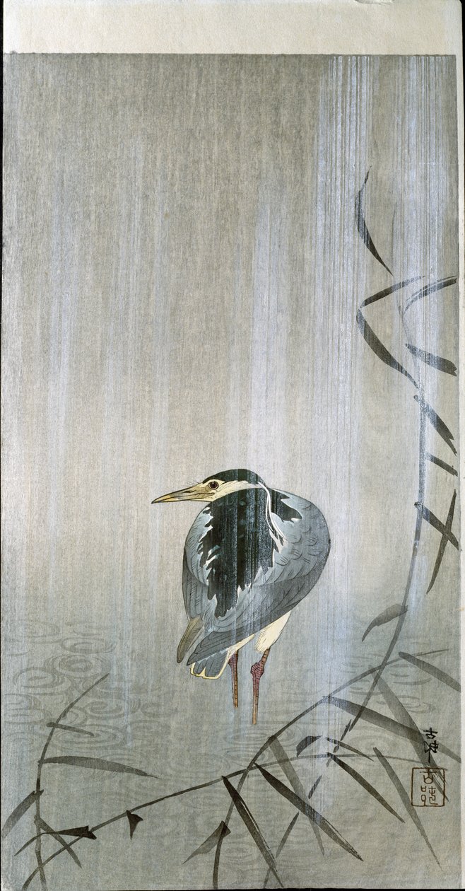 Pássaro na chuva, 1907 de Ohara Koson
