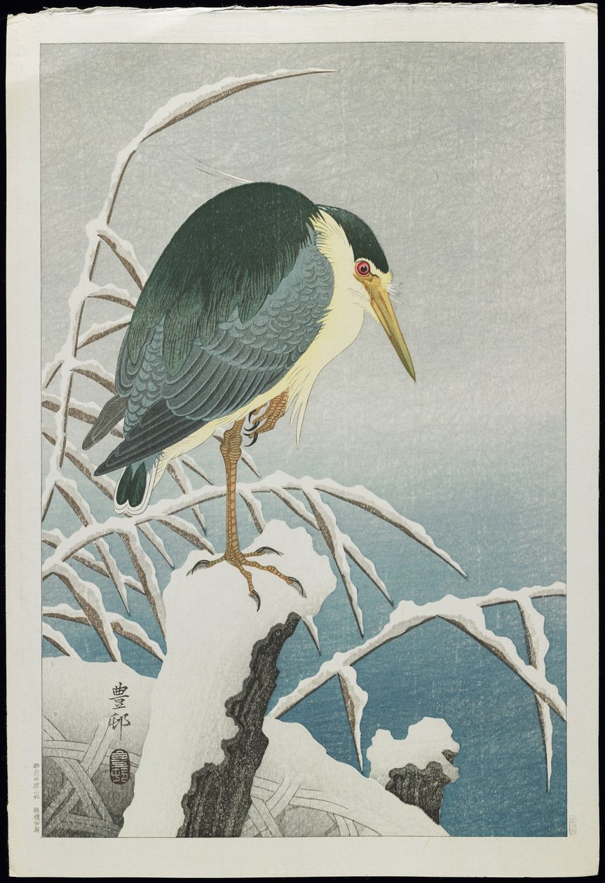 Garça-real de noite Preto-coroada na neve, 1930s de Ohara Koson
