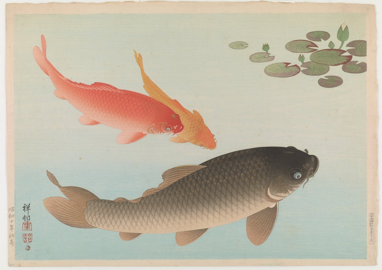 Carpa, 1935 (impressão em xilogravura a cores) de Ohara Koson