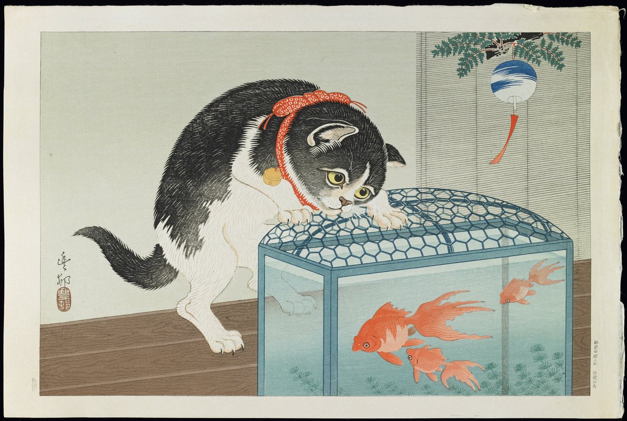 Gato e peixinho dourado, década de 1930 (impressão em xilogravura a cores) de Ohara Koson
