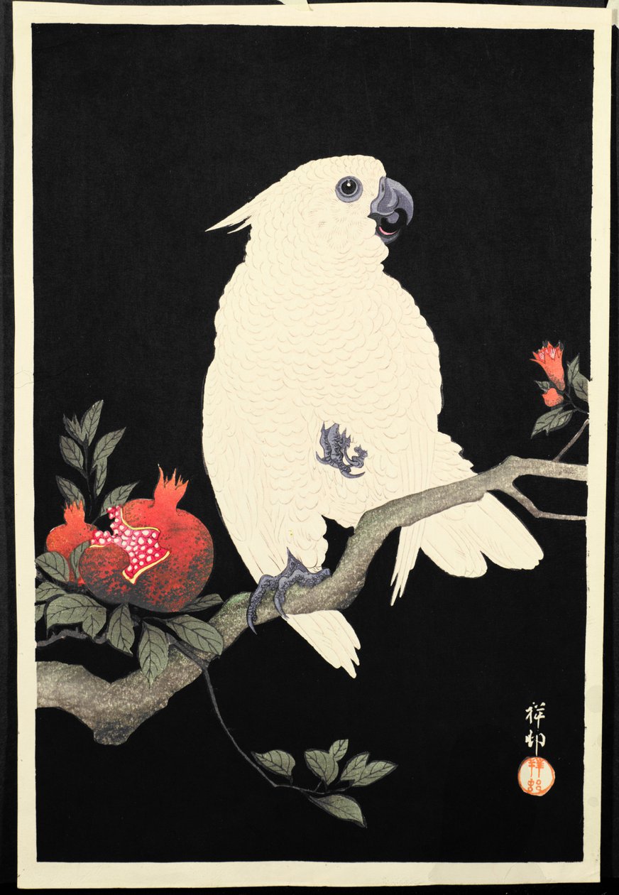 Cacatua e romã, (impressão de woodblock de cor) de Ohara Koson