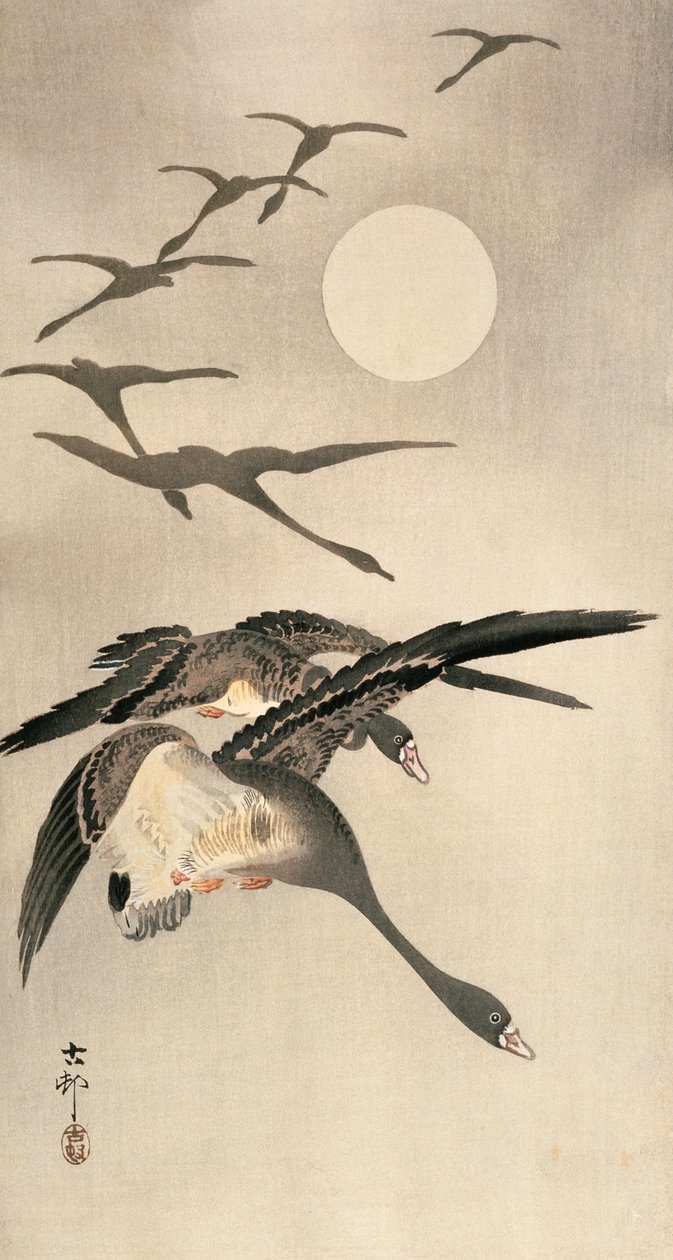 Gansos Voando e Lua Cheia, c. início dos anos 1900 (impressão em xilogravura a cores) de Ohara Koson