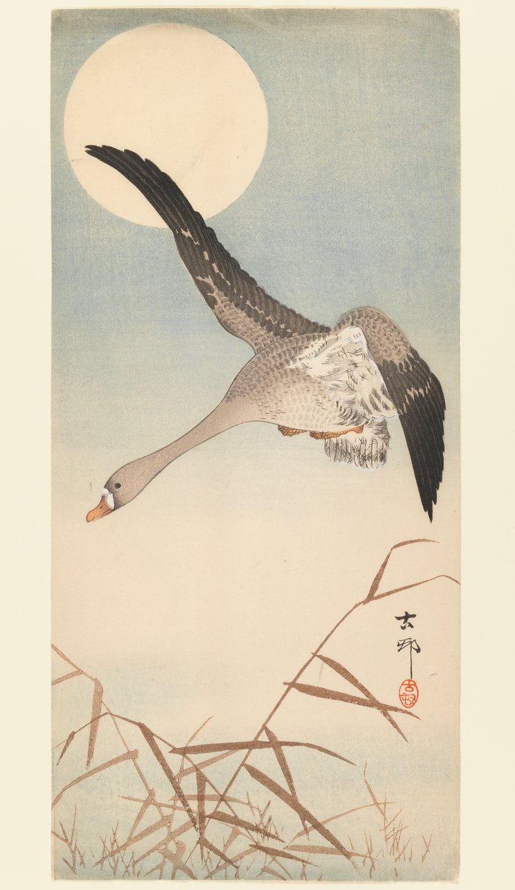 Vôo do ganso no luar, c.1910 (impressão em xilogravura) de Ohara Koson