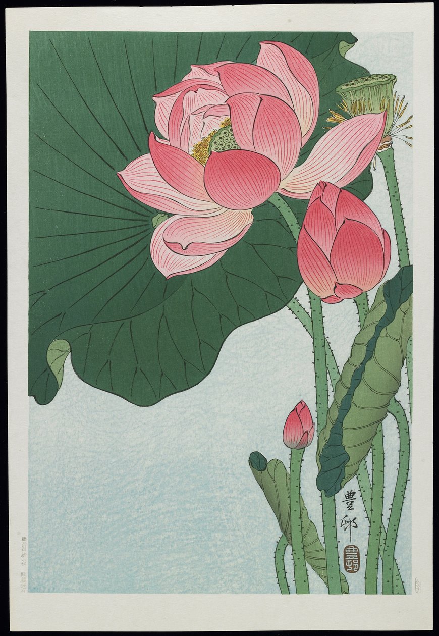 Lotus, década de 1930 de Ohara Koson